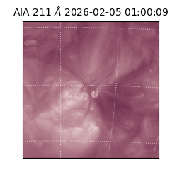 saia - 2026-02-05T01:00:09.618000