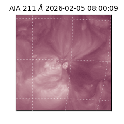 saia - 2026-02-05T08:00:09.619000