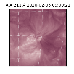 saia - 2026-02-05T09:00:21.630000