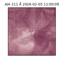 saia - 2026-02-05T11:00:09.631000