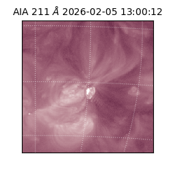 saia - 2026-02-05T13:00:12.799000