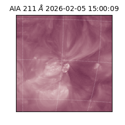 saia - 2026-02-05T15:00:09.626000