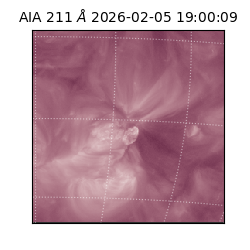 saia - 2026-02-05T19:00:09.626000