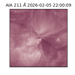 saia - 2026-02-05T22:00:09.633000