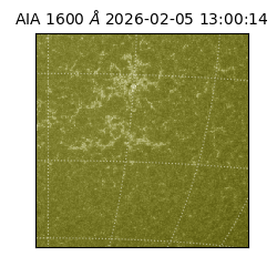 saia - 2026-02-05T13:00:14.130000