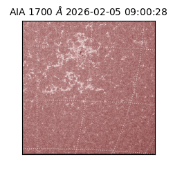 saia - 2026-02-05T09:00:28.709000