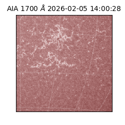 saia - 2026-02-05T14:00:28.710000