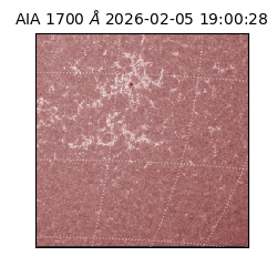 saia - 2026-02-05T19:00:28.710000