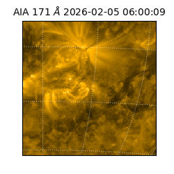 saia - 2026-02-05T06:00:09.350000