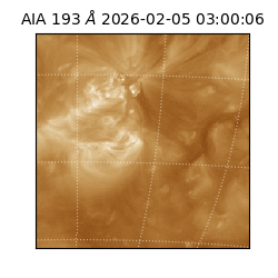 saia - 2026-02-05T03:00:06.810000