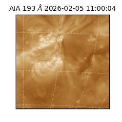 saia - 2026-02-05T11:00:04.843000