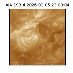 saia - 2026-02-05T23:00:04.843000