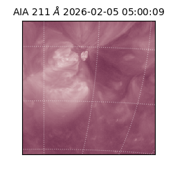 saia - 2026-02-05T05:00:09.618000