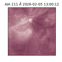 saia - 2026-02-05T13:00:12.799000