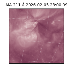 saia - 2026-02-05T23:00:09.632000