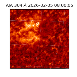 saia - 2026-02-05T08:00:05.129000