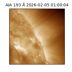 saia - 2026-02-05T01:00:04.835000