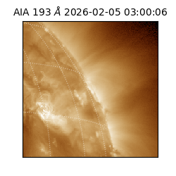 saia - 2026-02-05T03:00:06.810000