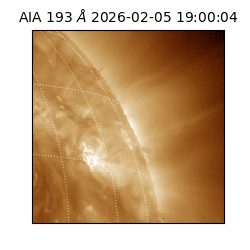 saia - 2026-02-05T19:00:04.843000