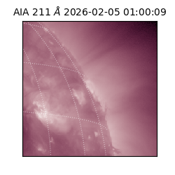 saia - 2026-02-05T01:00:09.618000