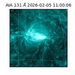 saia - 2026-02-05T11:00:06.622000