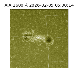 saia - 2026-02-05T05:00:14.118000