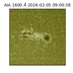 saia - 2026-02-05T09:00:38.121000