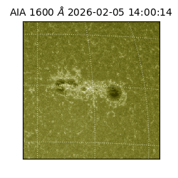 saia - 2026-02-05T14:00:14.118000