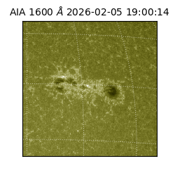 saia - 2026-02-05T19:00:14.133000