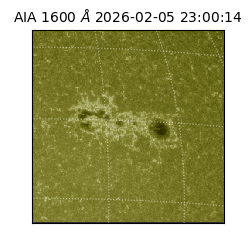 saia - 2026-02-05T23:00:14.126000