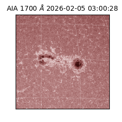 saia - 2026-02-05T03:00:28.720000