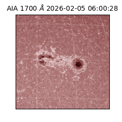 saia - 2026-02-05T06:00:28.710000