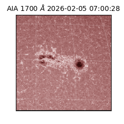 saia - 2026-02-05T07:00:28.717000