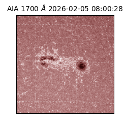 saia - 2026-02-05T08:00:28.721000