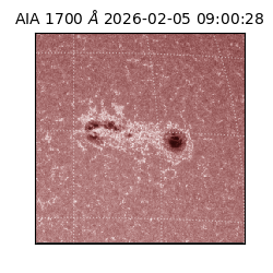 saia - 2026-02-05T09:00:28.709000