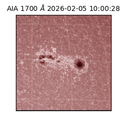 saia - 2026-02-05T10:00:28.709000