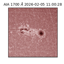 saia - 2026-02-05T11:00:28.710000