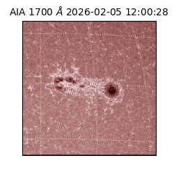 saia - 2026-02-05T12:00:28.737000