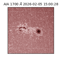 saia - 2026-02-05T15:00:28.719000