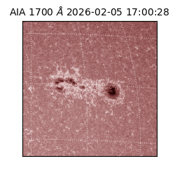 saia - 2026-02-05T17:00:28.718000