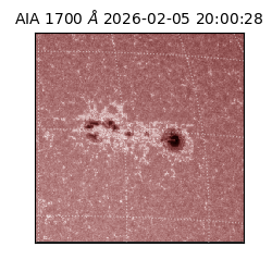 saia - 2026-02-05T20:00:28.710000