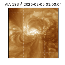 saia - 2026-02-05T01:00:04.835000