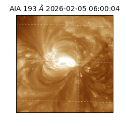 saia - 2026-02-05T06:00:04.843000