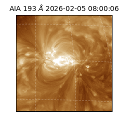 saia - 2026-02-05T08:00:06.800000