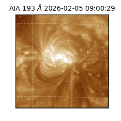 saia - 2026-02-05T09:00:29.619000