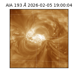 saia - 2026-02-05T19:00:04.843000