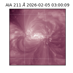 saia - 2026-02-05T03:00:09.640000