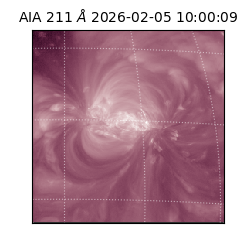 saia - 2026-02-05T10:00:09.630000