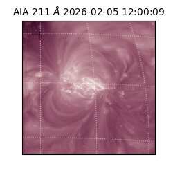 saia - 2026-02-05T12:00:09.618000