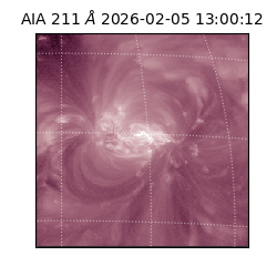 saia - 2026-02-05T13:00:12.799000